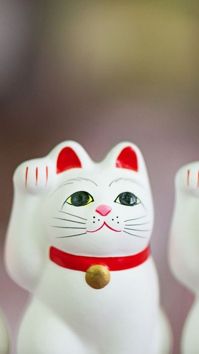 Hình nền mèo thần tài mạnh mẽ và ấn tượng