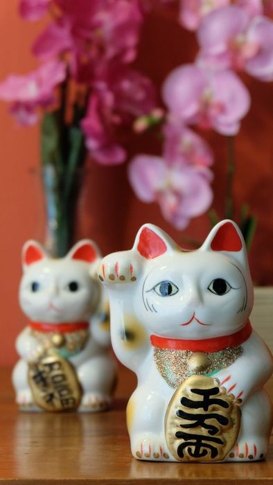 Hình nền mèo thần tài phong cách mạnh mẽ và ấn tượng