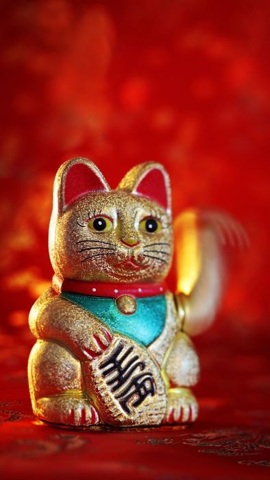 Hình nền mèo thần tài với vẻ đẹp ngầu và ấn tượng