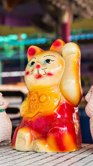 Hình nền mèo thần tài ấn tượng và cực ngầu