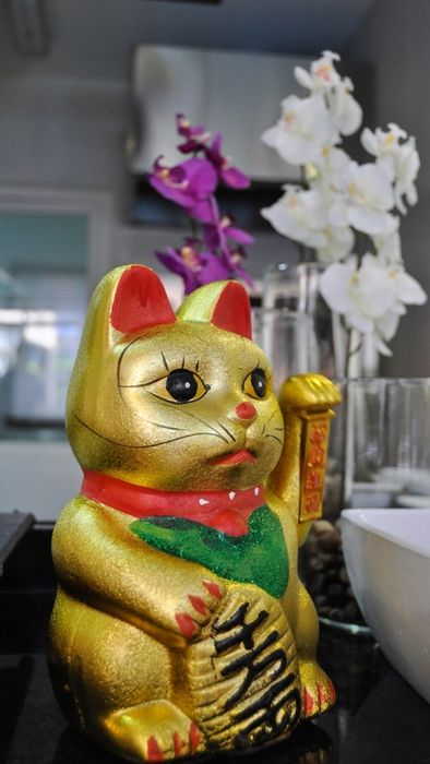 Hình nền mèo thần tài cực kỳ ấn tượng và đẹp mắt