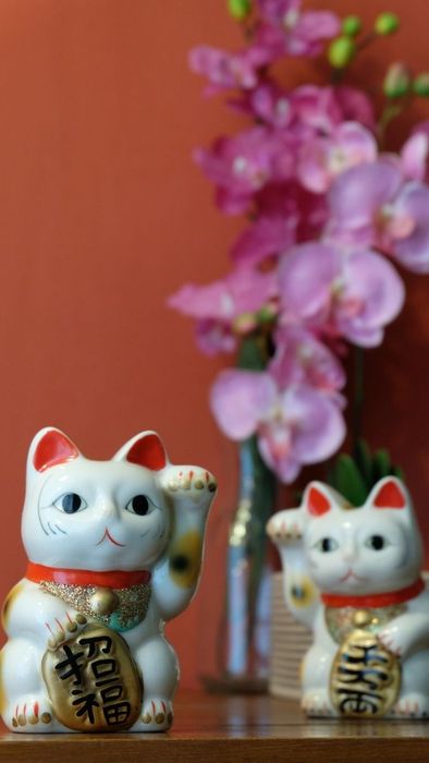 Hình nền mèo thần tài nổi bật với phong cách ngầu tuyệt vời