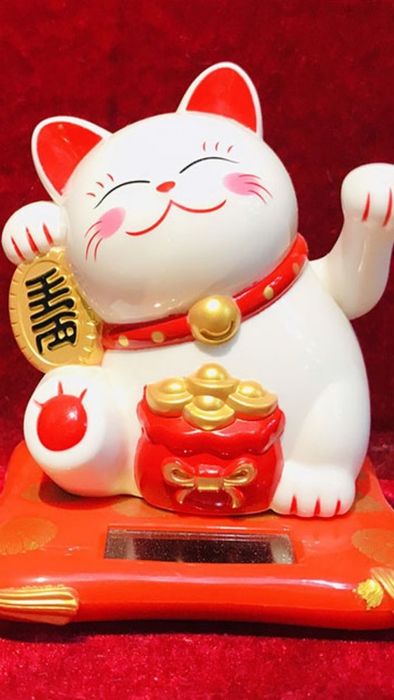 Hình nền mèo thần tài ấn tượng và cực kỳ ngầu
