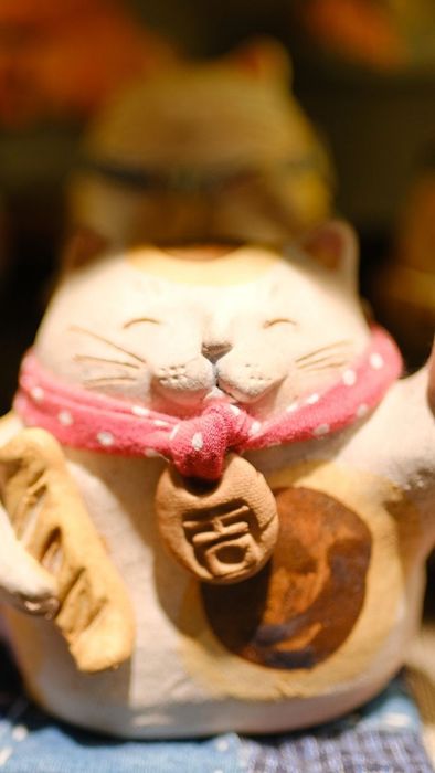 Mèo thần tài trên nền hồng tươi sáng, dễ thương và ấn tượng