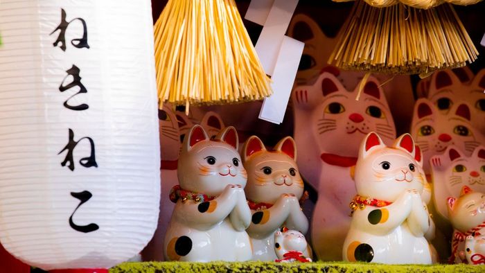 Hình nền mèo thần tài phù hợp cho máy tính