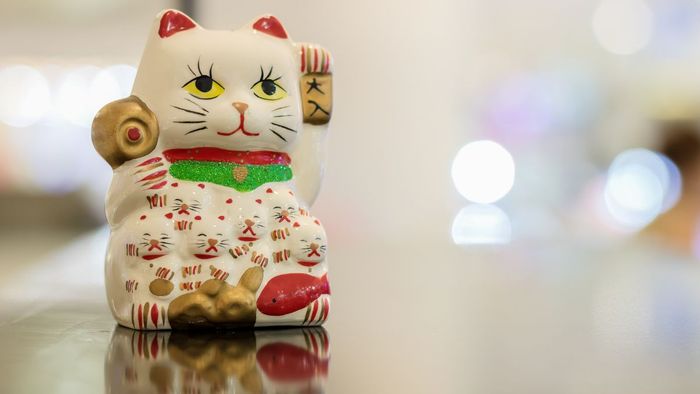 Hình nền mèo thần tài sắc nét 4K đẹp tuyệt vời