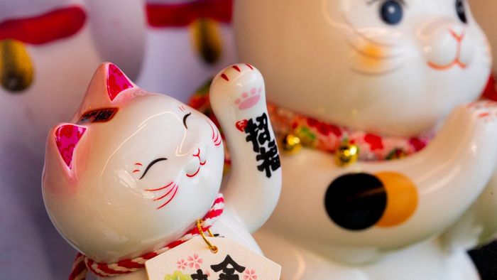 Hình nền mèo thần tài cực ngầu cho máy tính