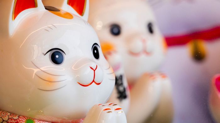 Ảnh nền mèo thần tài cực ngầu dành cho máy tính