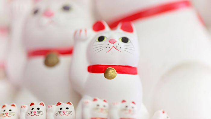 Hình nền mèo thần tài ngầu và đầy may mắn cho máy tính