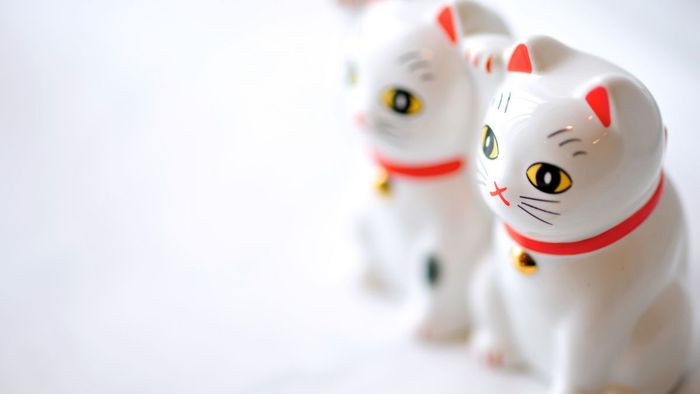 Hình nền mèo thần tài may mắn sẽ làm cho màn hình của bạn luôn rực rỡ và ngập tràn may mắn.