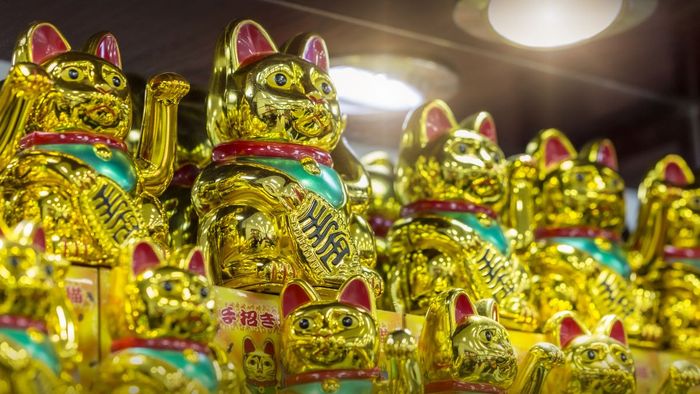 Hình nền mèo thần tài may mắn tạo nên một không gian đầy sắc màu và tràn đầy phước lành.