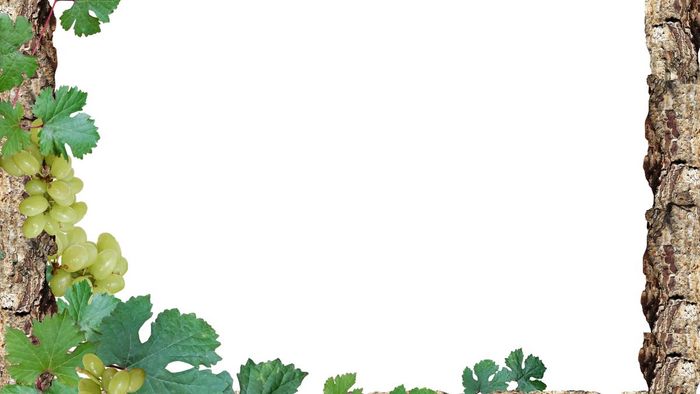 Khung ảnh gây ấn tượng mạnh mẽ
