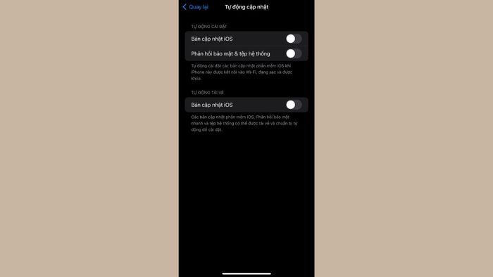 Hướng dẫn tắt cập nhật hệ điều hành iOS – Bước 4