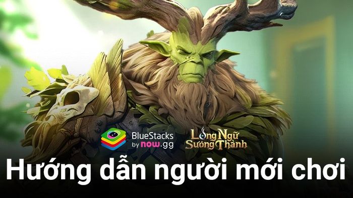 Hướng dẫn chi tiết cho người chơi mới về Long Ngữ Sương Thành – Gamota trên PC