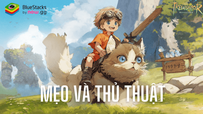 Mẹo và bí quyết để bạn trải nghiệm Tree of Savior: Neverland -TTH một cách dễ dàng hơn