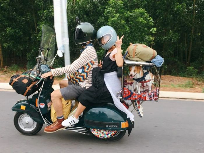 Có nhiều phương thức vận chuyển chó mèo như: xe máy, xe khách, tàu, máy bay