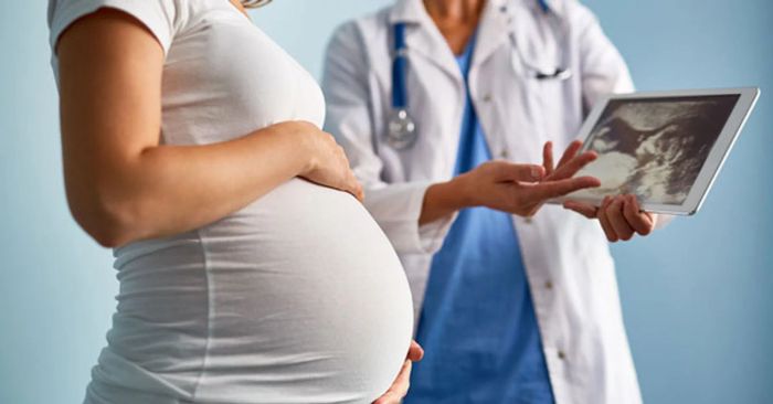 Tầm Quan Trọng của Axit Folic
