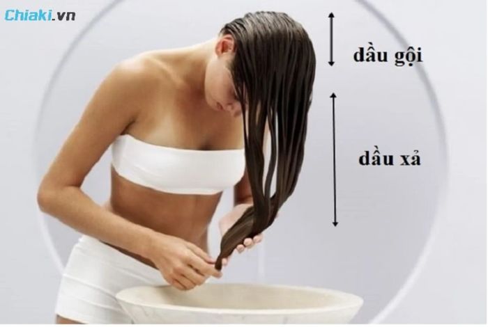 Cách sử dụng dầu gội Biotin Collagen hiệu quả tại nhà