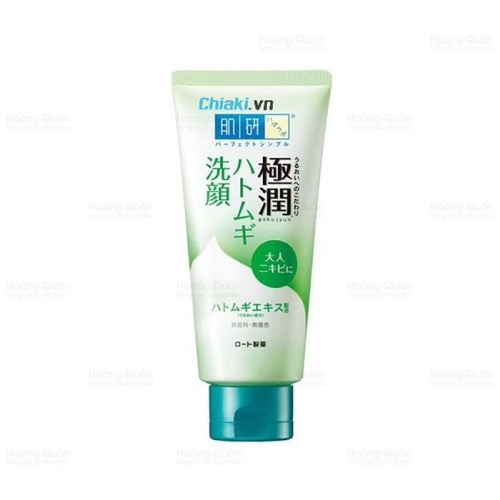 Sữa rửa mặt Hada Labo cho da dầu mụn Gokujyun Foaming Face Wash