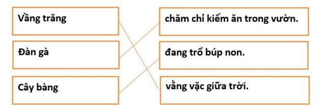 Đề thi học kỳ 2 môn Tiếng Việt lớp 1 theo sách Kết nối tri thức và kèm theo đáp án