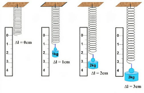 Biến dạng của lò xo - Phép đo lực - KHTN Lớp 6 Bài 39