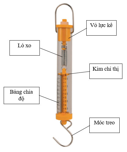 Biến dạng của lò xo - Phép đo lực - KHTN Lớp 6 Bài 39