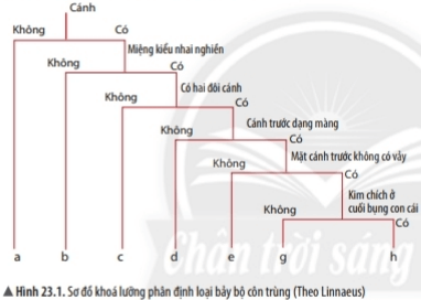 Giải KHTN Lớp 6 - Bài 23: Hướng dẫn thực hành xây dựng khóa lưỡng phân