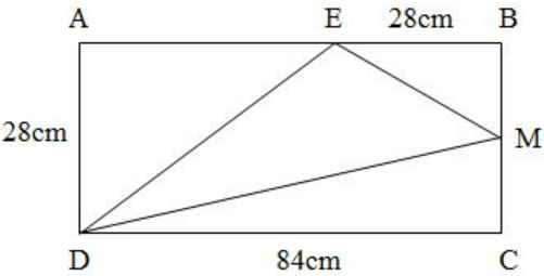 Tài liệu luyện tập Toán lớp 5 trang 171, 172 với các đáp án chi tiết