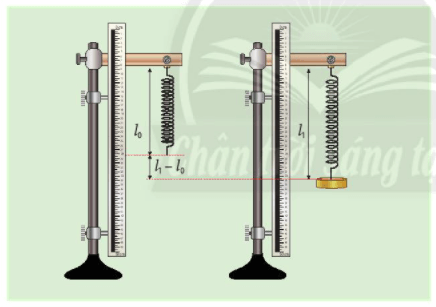 Biến dạng của lò xo - Phép đo lực - KHTN Lớp 6 Bài 39