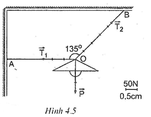 Giải Vật Lí 8 Bài 4: Phân tích lực một cách chi tiết