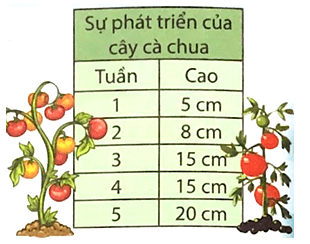 Bài tập Toán lớp 3 cuối tuần - Chân trời sáng tạo Tuần 26 với đáp án