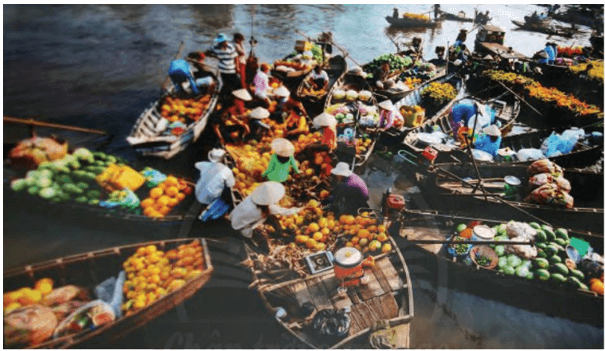 Soạn bài về Chợ nổi - biểu tượng văn hóa độc đáo của miền Tây một cách ngắn gọn và đầy đủ nhất