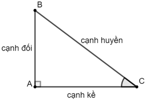 Hướng dẫn rõ ràng về công thức và cách tính tỉ số lượng giác của góc nhọn