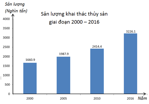 Đề thi Toán lớp 7 giữa kỳ 2 với đáp án mới nhất năm 2023 - 2024