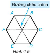 Toán lớp 6 bài 18 Hình tam giác đều Hình vuông Hình lục giác đều