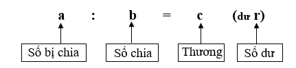 Sách bài tập Toán lớp 5 bài 155: Ôn tập Phép chia với hướng dẫn chi tiết