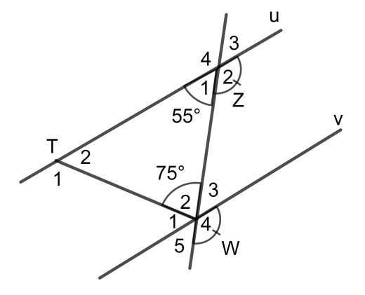 Góc đồng vị là gì? Làm thế nào để chứng minh hai góc đồng vị?