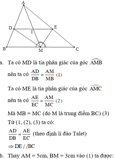 Đề thi giữa học kì 2 môn Toán lớp 8, năm học 2022 - 2023