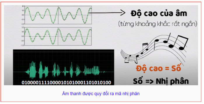 Mã nhị phân của thông tin là gì?