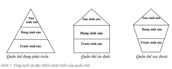 Khái niệm quần thể là gì và những đặc điểm nổi bật của nó là gì?