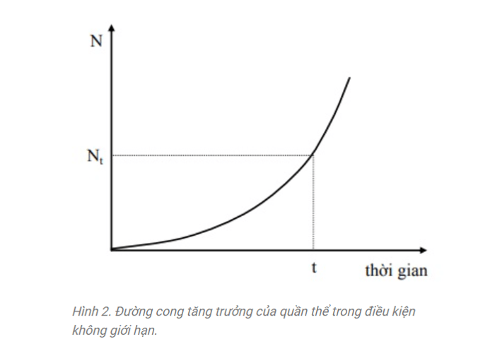 Khái niệm về quần thể là gì? Các đặc điểm chính của quần thể là gì?