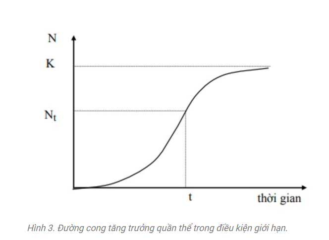 Khái niệm quần thể là gì? Những đặc điểm nổi bật của quần thể là gì?