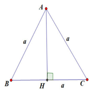 Khái niệm đường cao là gì? Các tính chất và công thức liên quan đến đường cao là gì?