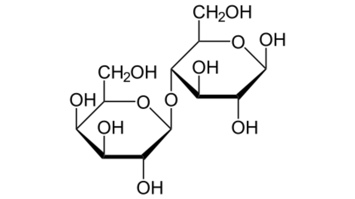 Lactose là gì và vai trò của nó trong cơ thể