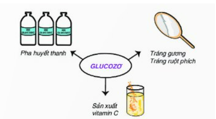 Glucozo là gì? Khám phá công thức, cấu trúc, đặc tính hóa học và ứng dụng của glucozo