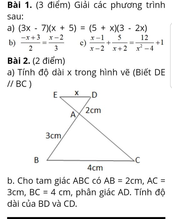 Bộ đề thi giữa học kì 2 lớp 8 với đáp án cập nhật mới nhất cho năm học 2022 - 2023