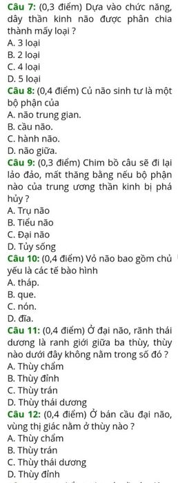 Bộ đề thi giữa học kì 2 lớp 8 kèm đáp án cập nhật mới nhất cho năm học 2022 - 2023