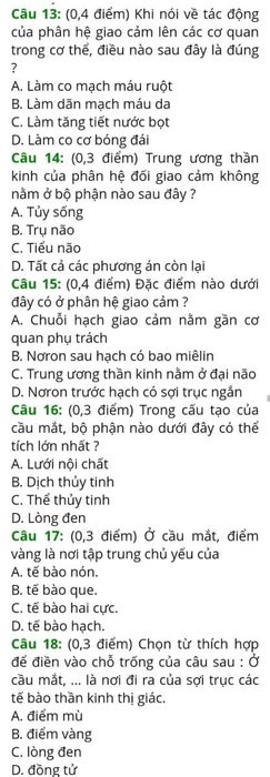 Bộ đề thi giữa học kì 2 lớp 8 với đáp án mới nhất cho năm học 2022 - 2023