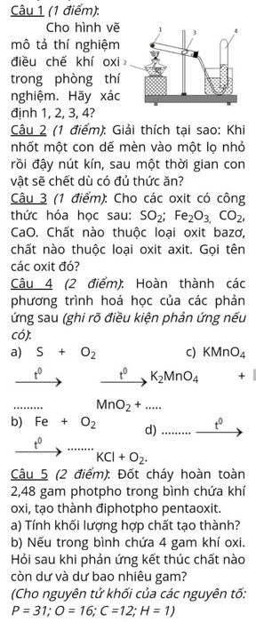 Bộ đề thi giữa học kì 2 lớp 8 kèm đáp án cập nhật mới nhất cho năm học 2022 - 2023