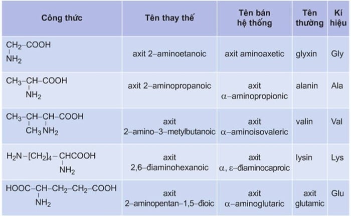 Amino axit là gì? Khám phá công thức hóa học và bài tập liên quan đến các amino axit phổ biến